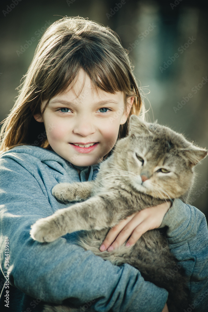 beautiful girl with a gray cat beautiful girl with a gray cat