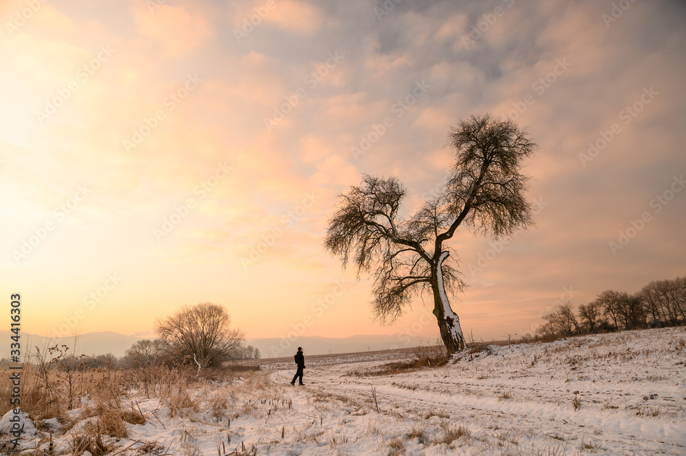 Man and magic tree, orange landscape in winter morning, edit space