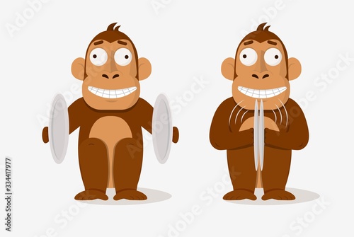 Two cartoon crazy smile monkey playing banding cymbals vector graphic illustration. Colorful funny musician ape character hold drums making noise sound isolated on white background
