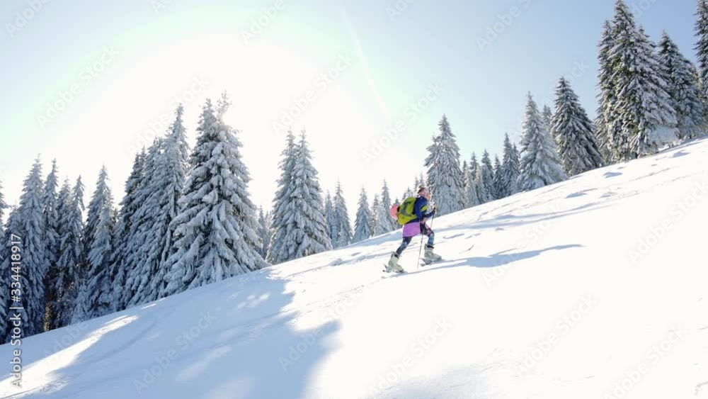 A woman ski touring in a snow-covered forest, backlit with a sun on a sunny day, Slovakia, A woman ski touring in a snow-covered forest, backlit with a sun on a sunny day, Slovakia,