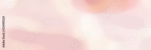 soft blurred iridescent horizontal card background graphic with misty rose, sea shell and baby pink colors space for text or image