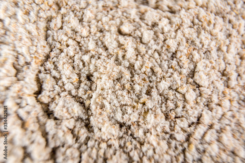 Oats photographed with macro photography Oats photographed with macro photography