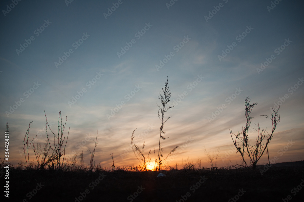 sunset in field