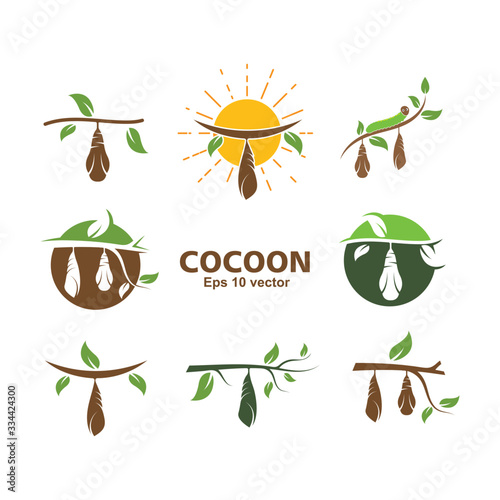 cocoon vector illustrtion design