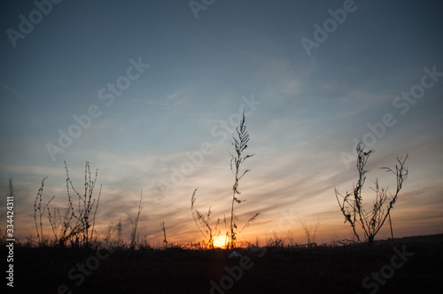 sunset in field