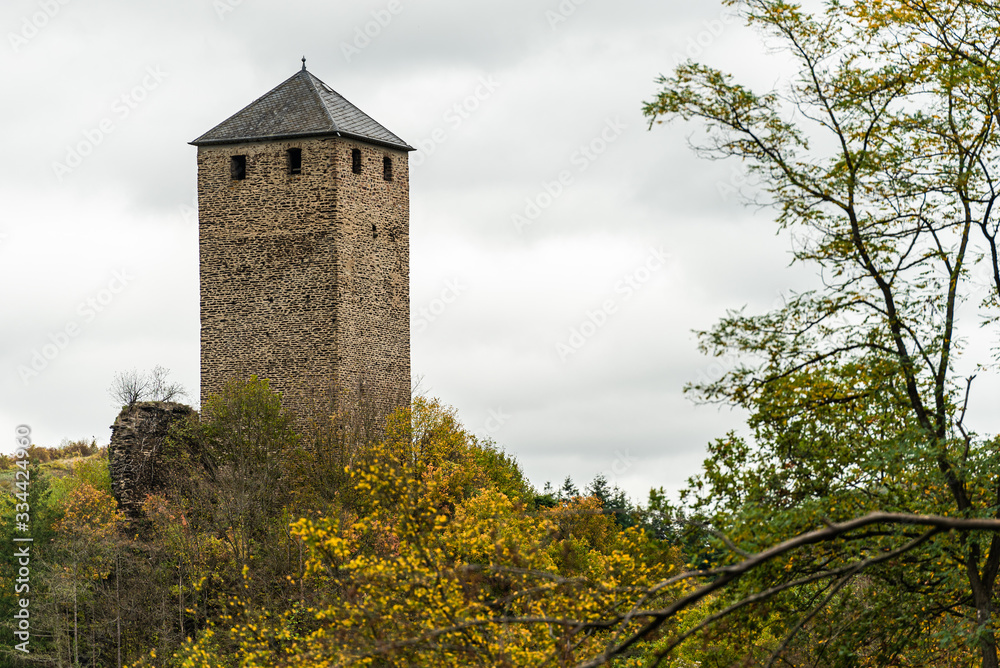 Ruine der Burg Treis in Treis-Karden an der Mosel
