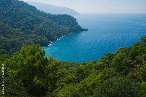 Wild beach, forest and sea