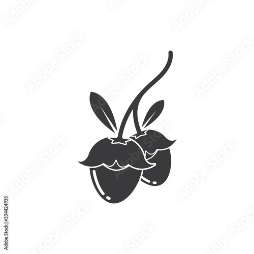 jojoba nuts vector illustration design