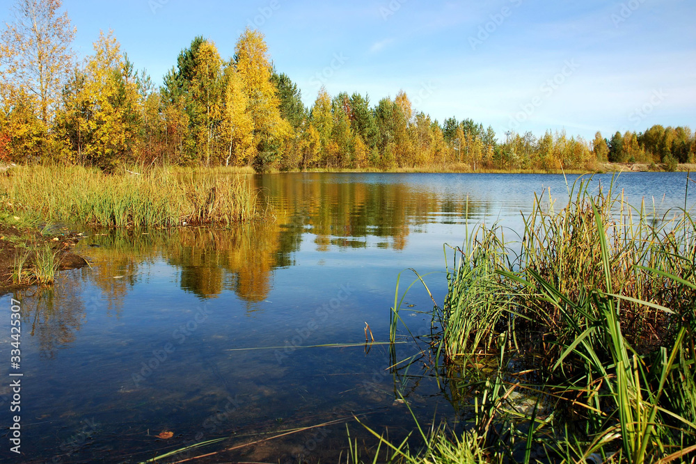 Autumn trees with colorful bright foliage on the shore of a forest lake.