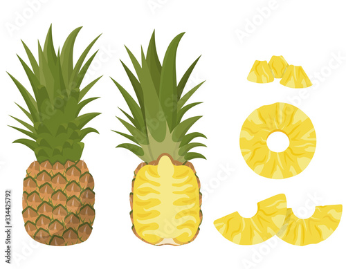 Whole and sliced pineapple. Vector set in cartoon style isolated on white background.