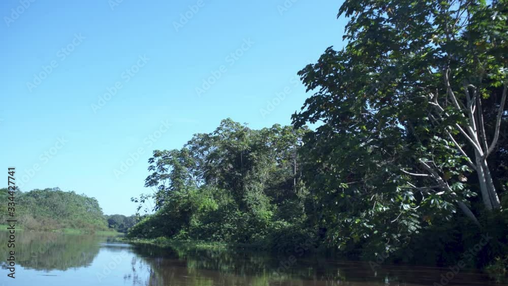 Side view of the Amazon rainforest from a boat trip through the Amazon river Side view of the Amazon rainforest from a boat trip through the Amazon river