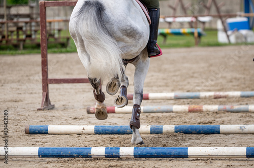 Horse rider crosses cavaletti with horse photo