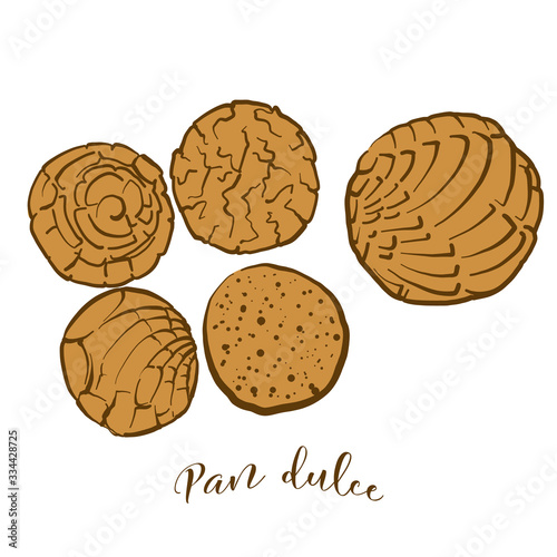 Colored drawing of Pan dulce bread