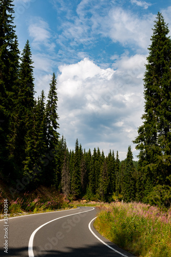 mountain, mountainous peaks, peaks of firs, fir forest, mountain landscape, panorama, autumn,