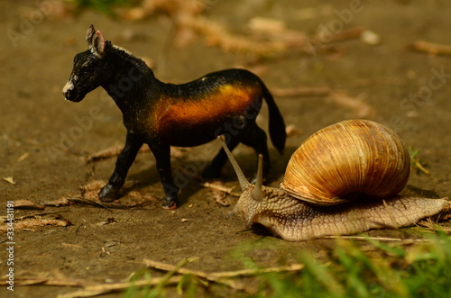 snail in the garden on the grass toy horse photo