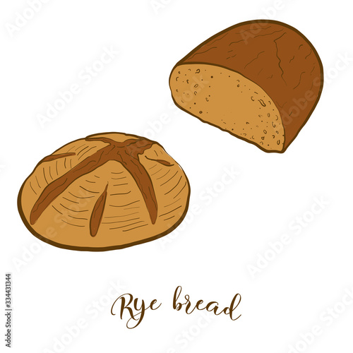 Colored drawing of Rye bread bread