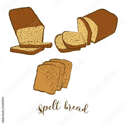 Colored drawing of Spelt bread bread