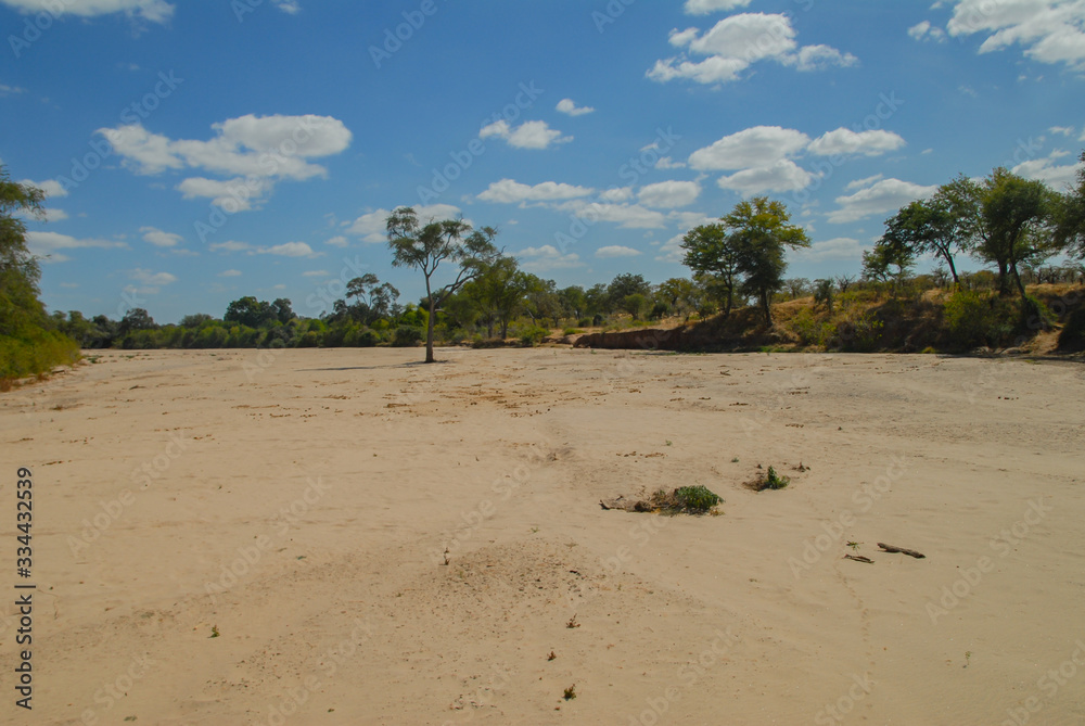 Ausgetrocknetes Flussbett in der Savanne vom Etosha-Nationalpark in Namibia Südafrika 