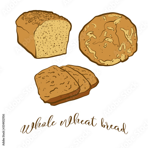 Colored drawing of Whole wheat bread bread