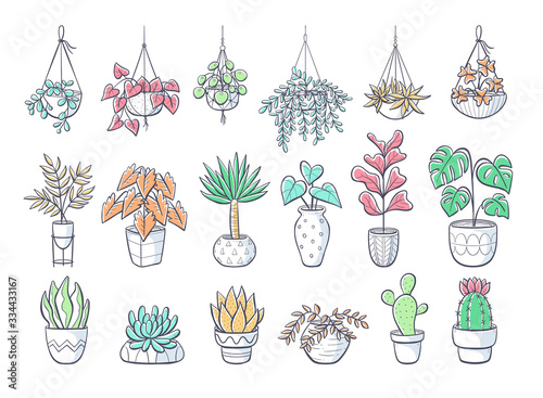 House plants hand drawn collection