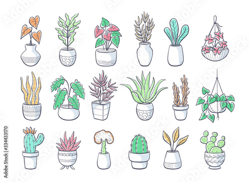 House plants hand drawn collection