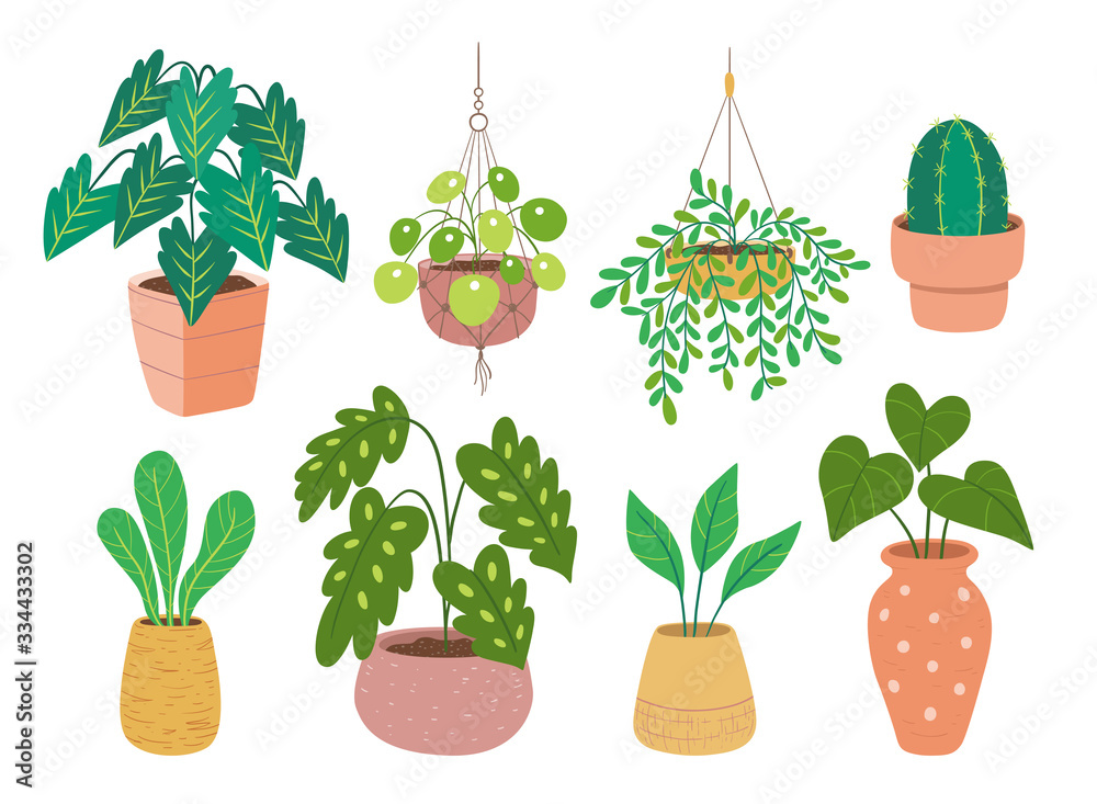 Fototapeta premium House plants colorful collection