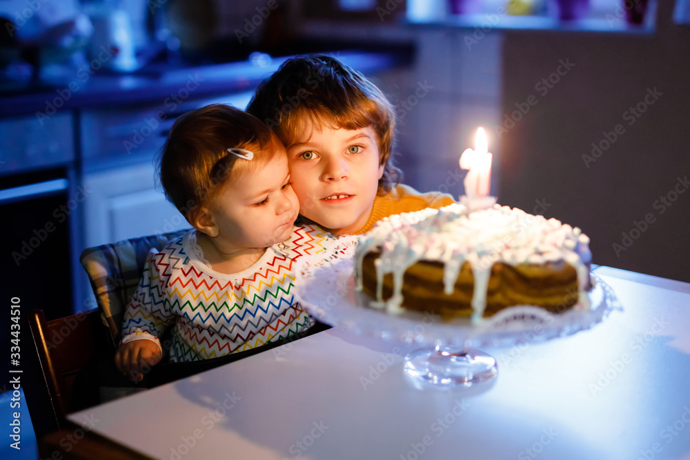 Cute beautiful little baby girl celebrating first birthday. Child and kid brother boy blowing one candle on homemade baked cake, indoor. Two happy children celebrating birthday together