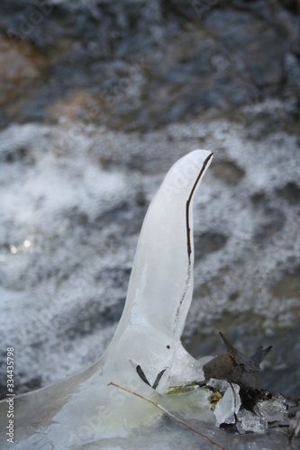 Ice Bird Siluette