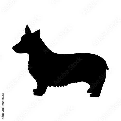 Kogi dog is black and white vector photo