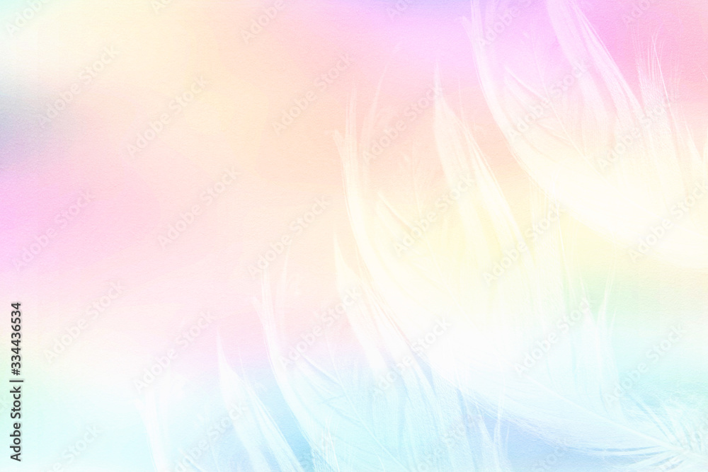 multicolored background with feathers