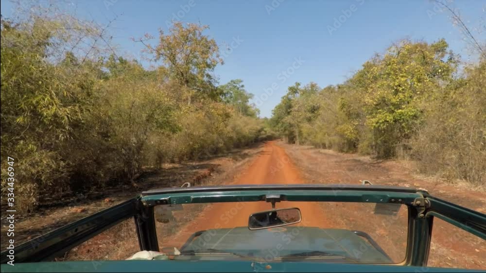 Jeep ride on forest trail during wildlife safari in Tadoba Tiger Reserve, Maharashtra, India