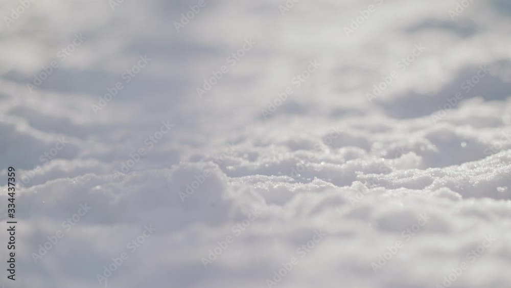Fresh snow in calm nature Fresh snow in calm nature