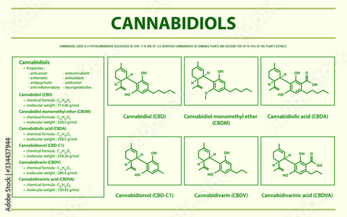 Cannabidiol CBD with Structural Formulas in Cannabis horizontal infographic illustration about cannabis as herbal alternative medicine and chemical therapy, healthcare and medical science vector.