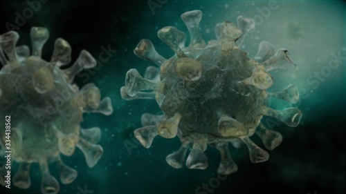 Corona Virus