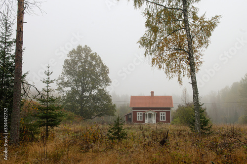 old country house in the forest in fog