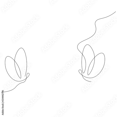 Butterfly fly line drawing. Vector illustration.