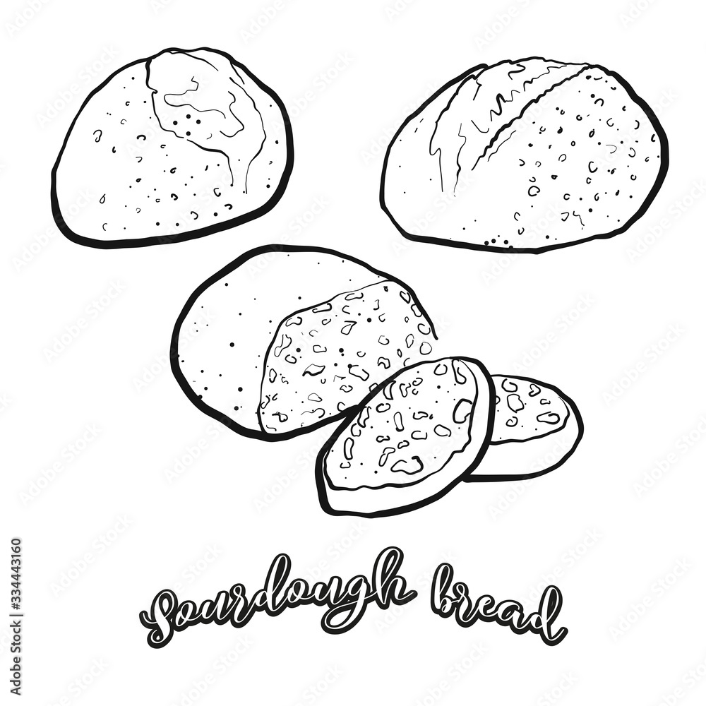 Sourdough bread food sketch separated on white Sourdough bread food sketch separated on white