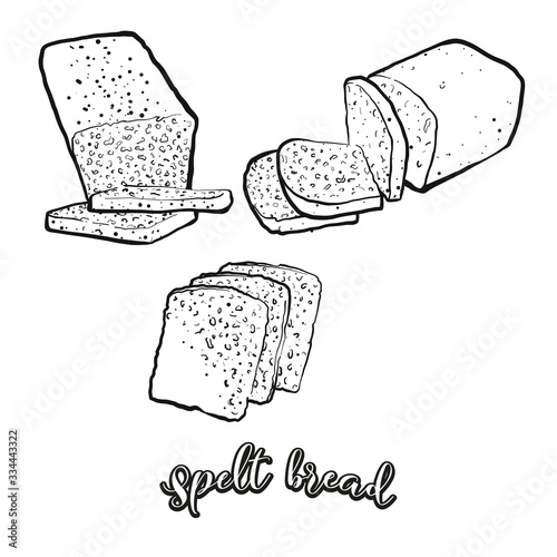 Spelt bread food sketch separated on white