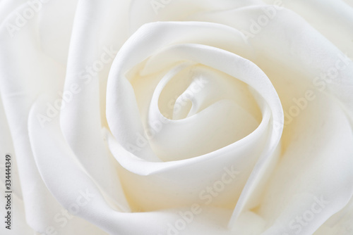 white flower shaped wavy shapes