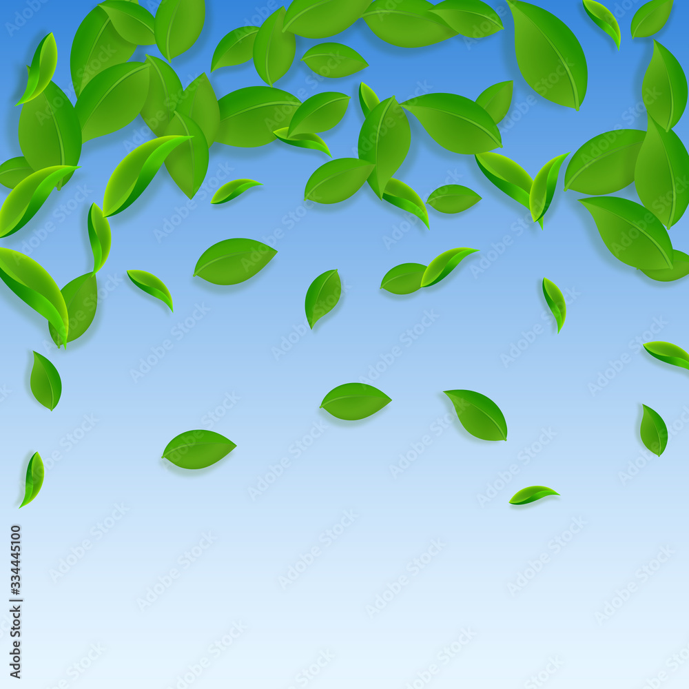 Falling green leaves. Fresh tea chaotic leaves fly Falling green leaves. Fresh tea chaotic leaves fly