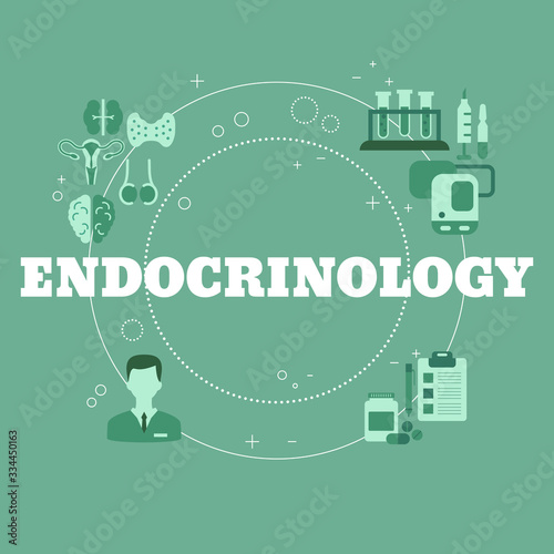 Vector Endocrinology Concept