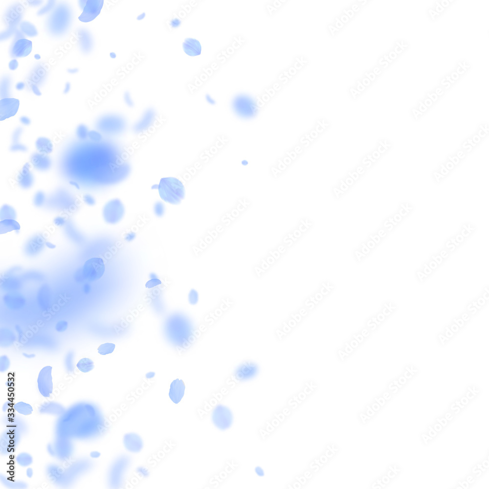 Dark blue flower petals falling down. Amusing roma Dark blue flower petals falling down. Amusing roma