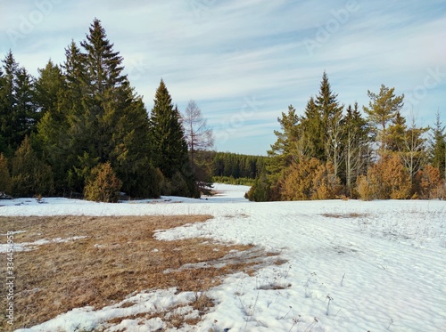 spring landscape with melting snow near the forest against a beautiful blue sky with clouds