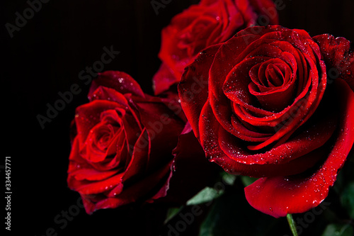 Fototapeta Naklejka Na Ścianę i Meble -  Beautiful red roses with drops of water on black background.