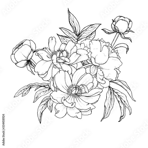 composition of garden flowers peonies and buds with leaves, monochrome vector illustration