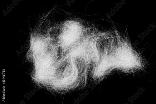 Pile of white cobweb or spider web as dust, hair isolated on black background
