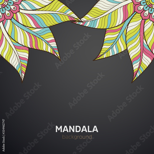 luxury mandala dark design background