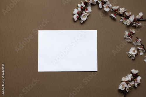 white envelope on a brown background decorated with apricot flowers. place for text