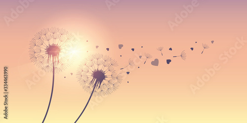 dandelion silhouette with flying seeds and hearts for valentines day vector illustration EPS10