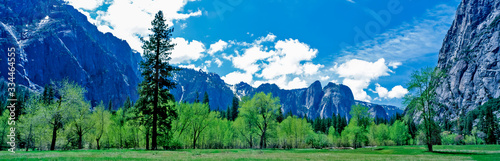 Spring arrives at the Yosemite National Park with a view from the Yosemite Valley photo